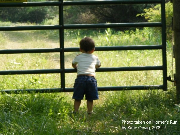 The Basics: Terminology