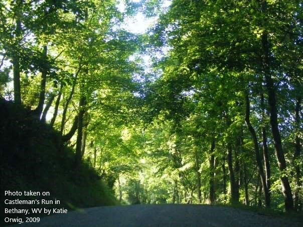 FB_IMG_1537749574952