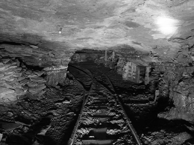 6a00d83451e1dc69e2010536c87576970c-800wi